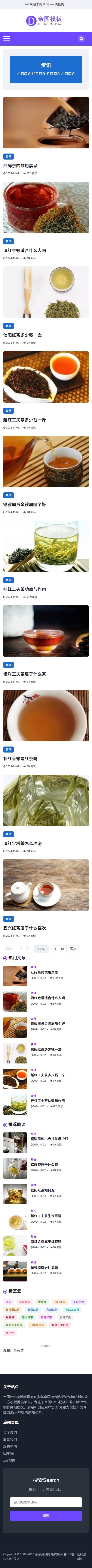 帝国cms自媒体响应式简洁大气博客内容网站模板_移动端列表页